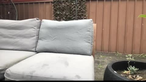 Snapshot of ozsurferboy773375 chatting on 09/27/25, 12:59 Hrny aussie surfer online show from 09/27/25, 12:59