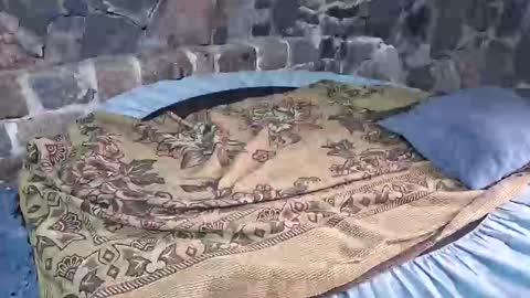 pablouyu online show from 01/18/26, 03:05