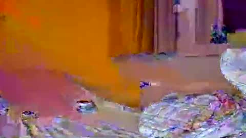 Pachoxx9 online show from 02/01/25, 10:44