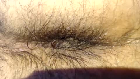 pack2 online show from 03/01/26, 12:18