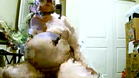 Bill online show from 12/08/24, 01:14