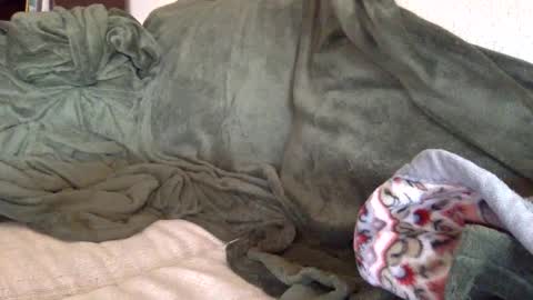 Snapshot of paintdude424 chatting on 09/26/25, 01:48 paintdude424 online show from 09/26/25, 01:48