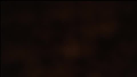 Snapshot of paiper_halliwey_ chatting on 01/26/25, 10:23 paiper online show from 01/26/25, 10:23