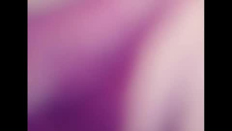   PALA online show from 03/03/25, 08:16