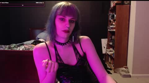 Snapshot of palaceofmalice chatting on 12/27/24, 04:54 palaceofmalice online show from 12/27/24, 04:54