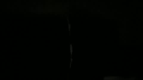 palley1120100250 online show from 12/17/25, 09:26