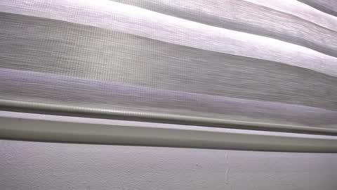 Palmer online show from 01/13/25, 12:24