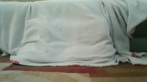 palmerwoodx online show from 02/02/26, 05:33