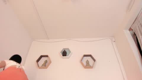 Paloma  online show from 01/21/25, 08:32