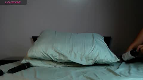 Snapshot of pam_gomez chatting on 12/11/24, 02:09 pam gomez online show from 12/11/24, 02:09