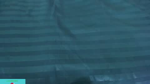 pamela_ambrosia1 online show from 12/13/24, 08:30