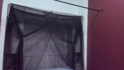  P A M  online show from 02/22/26, 04:02