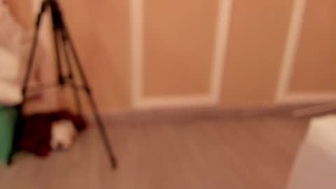 pamelamendez_1 online show from 02/27/26, 04:56