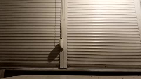 angel hris online show from 01/13/26, 06:46