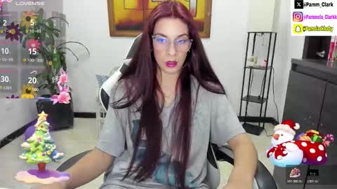 pammela clark online show from 11/06/25, 02:34