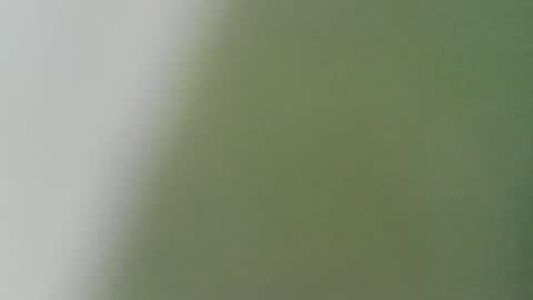 Snapshot of pandemonium696 chatting on 02/02/26, 11:47 pandemonium696 online show from 02/02/26, 11:47