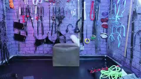 Snapshot of pandoranez chatting on 02/14/25, 11:10 PandoraNez online show from 02/14/25, 11:10