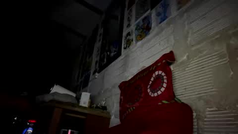 Snapshot of panthers_room chatting on 02/23/25, 11:00 panthers_room online show from 02/23/25, 11:00