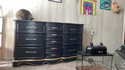 Snapshot of pantiesofthefae chatting on 01/20/25, 05:27 Pantiesofthefae online show from 01/20/25, 05:27