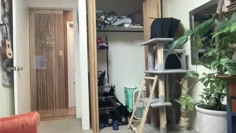 Snapshot of pantiesofthefae chatting on 10/13/25, 09:53 Pantiesofthefae online show from 10/13/25, 09:53