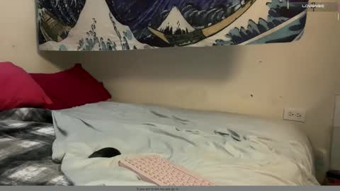 PantsLessTraveler online show from 12/16/25, 06:24