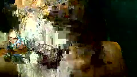 PAOLLA 23CM online show from 03/24/26, 05:18