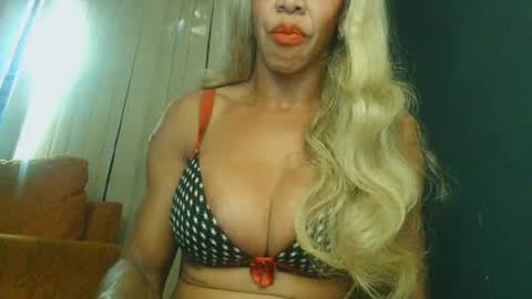 PAOLLA 23CM online show from 07/01/26, 07:02