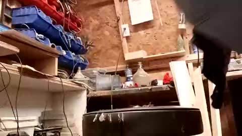 papajb70 online show from 01/27/25, 01:05