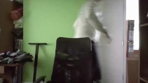 Snapshot of papitowilly999 chatting on 03/11/25, 05:24 Papito online show from 03/11/25, 05:24