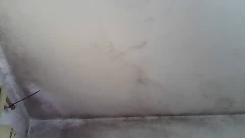 Snapshot of pareja201722 chatting on 12/31/24, 04:25 pareja201722 online show from 12/31/24, 04:25