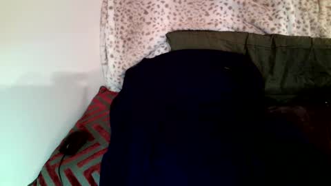 Parlay tellio online show from 01/29/25, 08:25