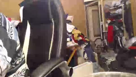 pascal88881 online show from 12/02/24, 06:10