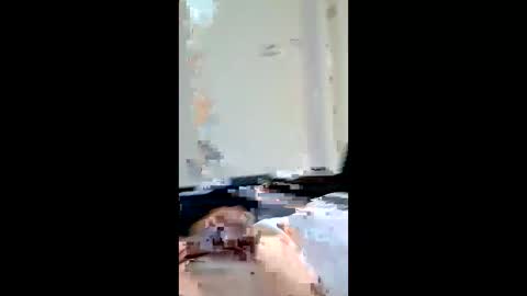 patheticloserbeta online show from 04/01/26, 08:50