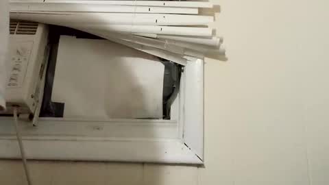 Snapshot of pato0008 chatting on 12/17/24, 11:27 JD online show from 12/17/24, 11:27