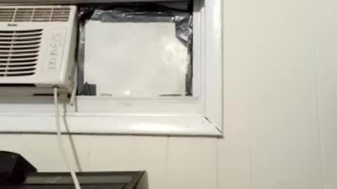 Snapshot of pato0008 chatting on 03/01/25, 10:13 JD online show from 03/01/25, 10:13