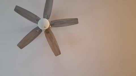 patrick247288 online show from 01/12/25, 09:40