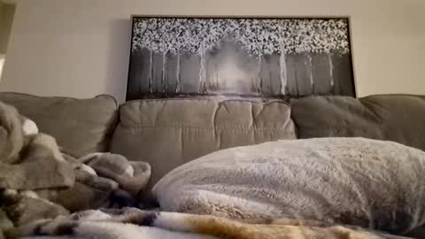 patrick247288 online show from 02/12/25, 12:22