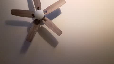 patrick247288 online show from 09/09/25, 04:34