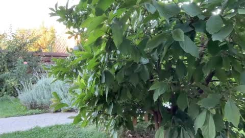 Andreea online show from 09/16/25, 04:35