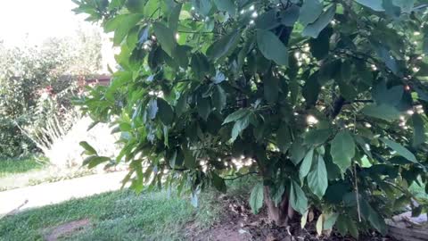 Andreea online show from 09/23/25, 06:16