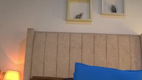 patty online show from 03/12/26, 11:49