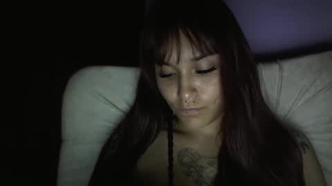 Snapshot of pau_cat chatting on 01/17/26, 05:34 Pau online show from 01/17/26, 05:34