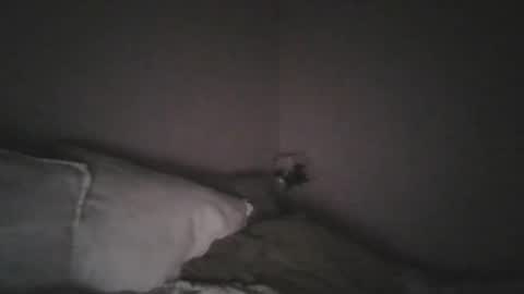 Snapshot of paul141293 chatting on 09/22/25, 06:43 paul141293 online show from 09/22/25, 06:43