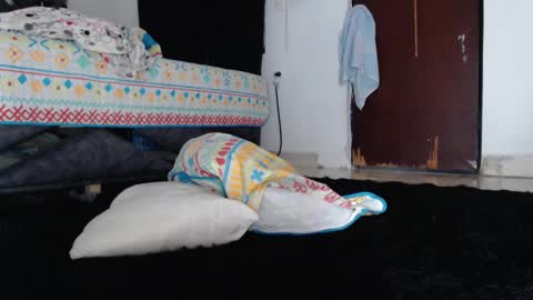 paula_torrez online show from 09/17/25, 02:08