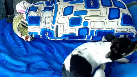 paula_willss online show from 01/06/25, 12:35