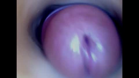 Paula 18 Aninhos online show from 02/01/25, 02:34