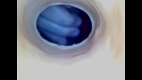 Paula 18 Aninhos online show from 02/01/25, 07:44