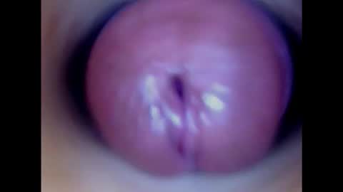 Paula 18 Aninhos online show from 02/02/25, 03:54