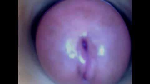 Paula 18 Aninhos online show from 02/04/25, 05:10