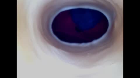 Paula 18 Aninhos online show from 12/17/25, 05:57